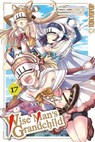 Wise Man's Grandchild, Band 17 - Tsuyoshi Yoshioka ; Shunsuke Ogata - 9783759312068