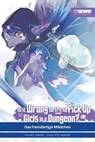 Is It Wrong to Try to Pick Up Girls in a Dungeon? – Light Novel, Band 09 - Fujino Omori - 9783759317346