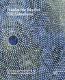Es könnte gelingen, wenn nur die Sonne weiter scheint ... (German Edition) - GOTTFRIED BOEHM ; RALPH UBL ; THEODORA VISCHER ; FONDATION BEYELER,  Riehen/Basel - 9783775743327