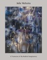 Julie Mehretu - Suzanne Cotter - 9783775759281