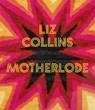 Liz Collins - Glenn Adamson ; Julia Bryan-Wilson - 9783777444482
