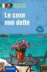 Le cose non dette. Italienisch A2 - Alessandra Felici Puccetti ; Tiziana Stillo - 9783790100358