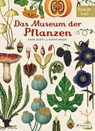 Das Museum der Pflanzen - Katie Scott ; Kathy Willis - 9783791372662