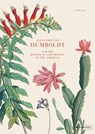 Alexander von humboldt - h. walter lack - 9783791384153