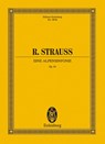 Eine Alpensinfonie - Richard Strauss - 9783795761011