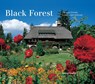 Black Forest - Clemens Emmler ; Hubert Matt-Willmatt - 9783797705259