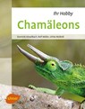 Chamäleons - Dominik Kieselbach ; Rolf Müller ; Ulrike Walbröl - 9783800103959
