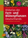 Bildatlas der Farn- und Blütenpflanzen Deutschlands - Henning Haeupler ; Thomas Muer - 9783800149902