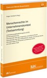 Menschenrechte im Unternehmenskontext (Textsammlung) - Holger Hembach - 9783800518722