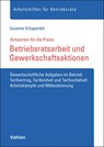 Betriebsratsarbeit und Gewerkschaftsaktionen - Susanne Schaperdot - 9783800676835