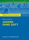 Horvath/Jugend ohne Gott - Ödön von Horváth - 9783804419391