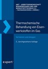 Thermochemische Behandlung von Eisenwerkstoffen im Gas -  - 9783816900467