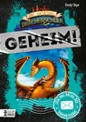 Die geheime Drachenschule: Löse das Rätsel des ewigen Feuers - Emily Skye - 9783833909177