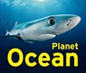 Planet Ocean - Jeanette Schmitz - 9783837526196