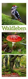 Waldleben Triplet-Kalender 2026 | Spaziergang durch heimische Wälder -  - 9783838426365