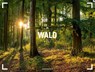 Wald Gallery Kalender 2026 -  - 9783838436159