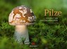 Pilze Kalender 2026 | Vielfalt am Waldboden -  - 9783838436333