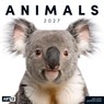 Animals Kalender 2027 - 30x30 - Art12 -  - 9783838447186