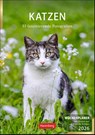 Katzen Wochenplaner 2026 - 53 faszinierende Fotografien -  - 9783840036231