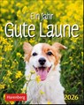 Ein Jahr gute Laune Mini-Geschenkkalender 2026 -  - 9783840036712