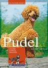Pudel - Karin Pohl ; Steffi Rumpf - 9783840462672