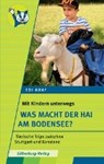 Graf, E: Mit Kindern unterwegs - Was macht der Hai am Bodens - GRAF,  Edi - 9783842520165