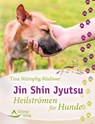 Jin Shin Jyutsu - Tina Stümpfig-Rüdisser - 9783843412568