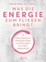 Was die Energie zum Fließen bringt - Sandy Taikyu Kuhn Shimu - 9783843415811