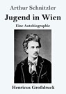 Jugend in Wien (Grossdruck) - Arthur Schnitzler - 9783847843184