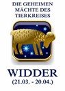 Der Widder - Jürgen Beck - 9783849643447