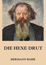 Die Hexe Drut - Hermann Bahr - 9783849654795
