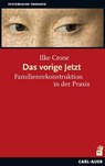 Das vorige Jetzt - Ilke Crone - 9783849702175