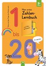Mein erstes Zahlen Lernbuch mit Spurrillen und Klappen -  - 9783849947613