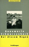 Bei diesem Regen - Annemarie Schwarzenbach ; Roger Perret - 9783857875434