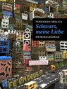 Schwarz, meine Liebe - Fernando Molica - 9783860345399