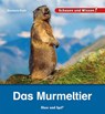 Das Murmeltier - Barbara Rath - 9783863164256