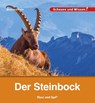 Der Steinbock - Barbara Rath - 9783863164270