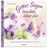 Gottes Segen leuchte über dir - Reinhard Ellsel - 9783863381967