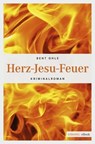 Herz-Jesu-Feuer - Bent Ohle - 9783863588571