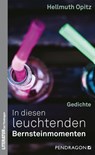 In diesen leuchtenden Bernsteinmomenten - Hellmuth Opitz - 9783865326010