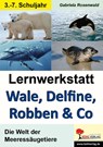 Lernwerkstatt Wale, Delfine, Robben & Co. Die Welt der Meeressäugetiere - Gabriela Rosenwald - 9783866329188