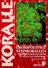 Grosspolypige Steinkorallen im Meerwasseraquarium - Dieter Brockmann - 9783866593329