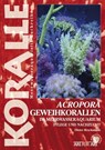 Acropora-Geweihkorallen im Meerwasseraquarium - Dieter Brockmann - 9783866593510