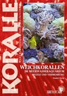 Weichkorallen im Meerwasseraquarium - Daniel Knop - 9783866595415