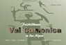 Val Camonica - Günther Grünig - 9783867050340
