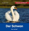 Der Schwan - Veronika Straaß - 9783867607650