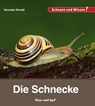 Die Schnecke - Veronika Straaß - 9783867607681