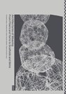 Architectures of Weaving - Christiane Sauer ; Mareike Stoll ; Ebba Fransen Waldhor - 9783868597394