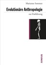 Evolutionäre Anthropologie zur Einführung - Marianne Sommer - 9783885060918