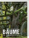 Faszinierende Bäume in Oberbayern - Jürgen Schuller - 9783892515418